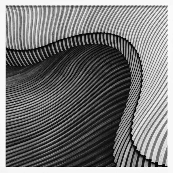 Tablou înramat „The wood project II - Sea shore” de Luc Vangindertael (laGrange)