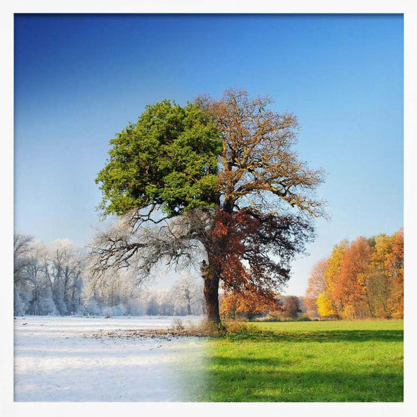 Tablou înramat „4 seasons” de Adam Brzuszek