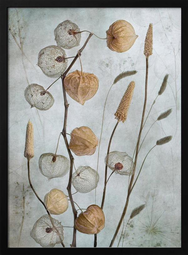 Tablou înramat „Lanterns*” de Mandy Disher