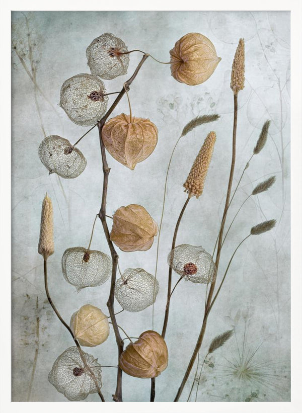 Tablou înramat „Lanterns*” de Mandy Disher