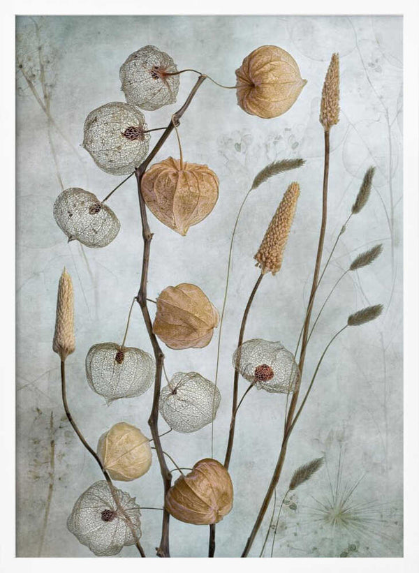 Tablou înramat „Lanterns*” de Mandy Disher