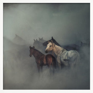 Tablou înramat „The lost horses” de Hüseyin Taşkın