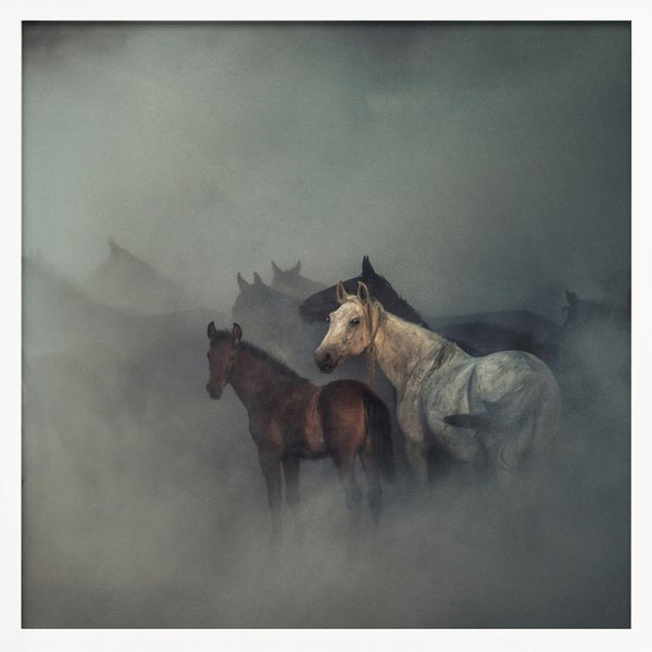 Tablou înramat „The lost horses” de Hüseyin Taşkın