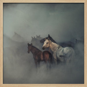 Tablou înramat „The lost horses” de Hüseyin Taşkın