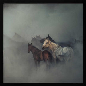 Tablou înramat „The lost horses” de Hüseyin Taşkın