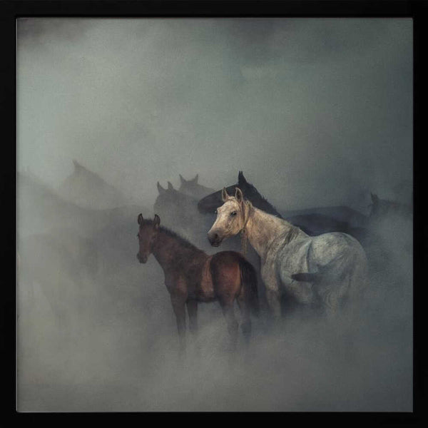 Tablou înramat „The lost horses” de Hüseyin Taşkın