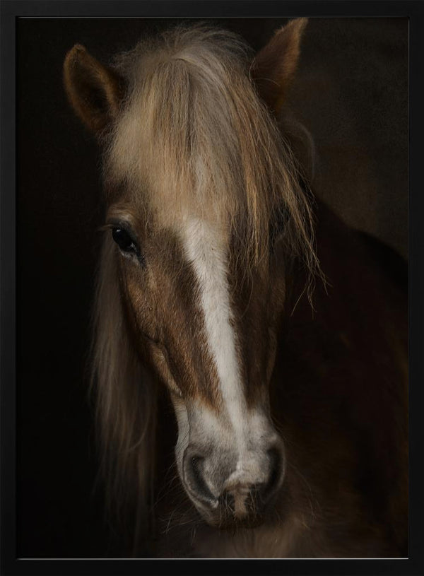 Tablou înramat „Sapience” de Martine Benezech