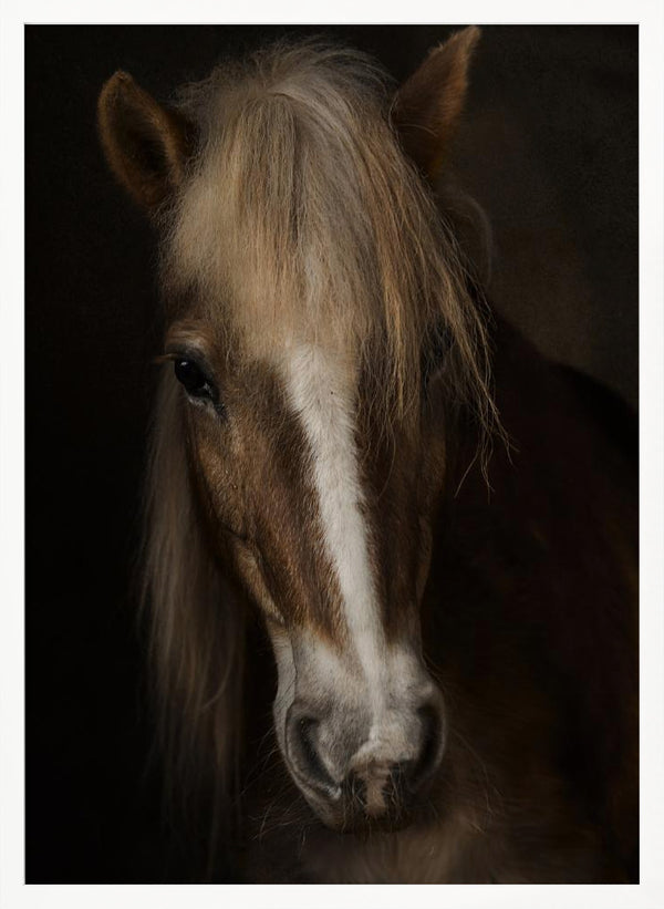 Tablou înramat „Sapience” de Martine Benezech