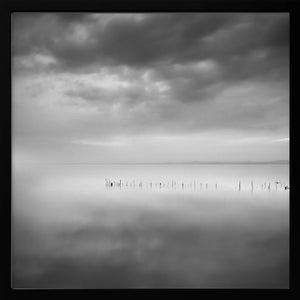 Tablou înramat „Sixty shades of gray” de George Digalakis
