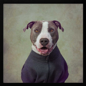 Tablou înramat „Major Good Boy” de Tammy Swarek