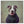 Tablou înramat „Major Good Boy” de Tammy Swarek