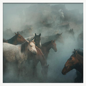 Tablou înramat „lost horses” de Hüseyin Taşkın