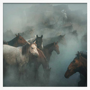 Tablou înramat „lost horses” de Hüseyin Taşkın