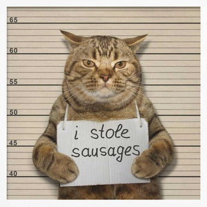 Tablou înramat „Crime and Punishment....” de Iryna Kuznetsova (Iridi)