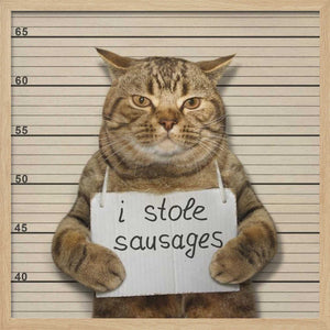 Tablou înramat „Crime and Punishment....” de Iryna Kuznetsova (Iridi)