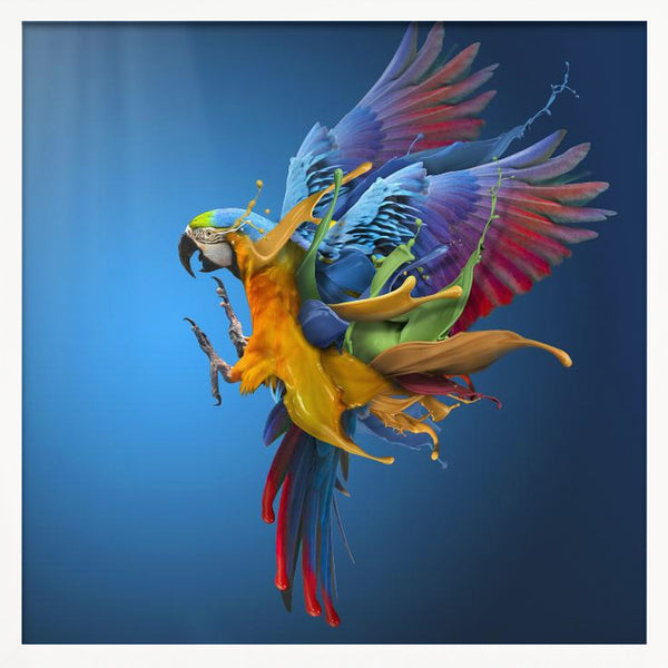 Tablou înramat „Flying Colours” de Sulaiman Almawash