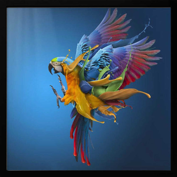 Tablou înramat „Flying Colours” de Sulaiman Almawash