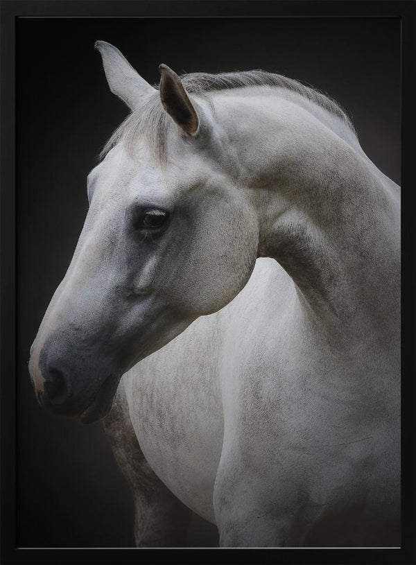 Tablou înramat „Maggie” de Avishai Avivi