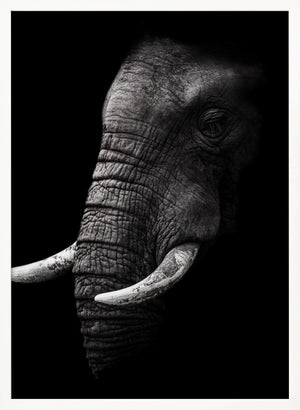Tablou înramat „Portrait” de WildPhotoArt