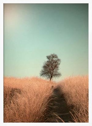 Tablou înramat „Grass and Path” de Jaap van den Helm