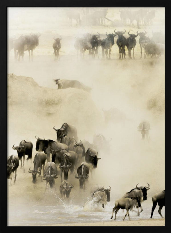 Tablou înramat „Swarming” de Husain Alfraid