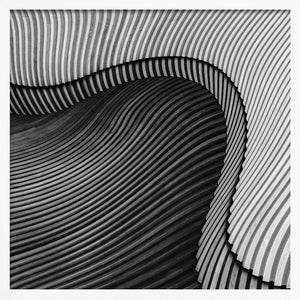 Tablou înramat „The wood project II - Sea shore” de Luc Vangindertael (laGrange)