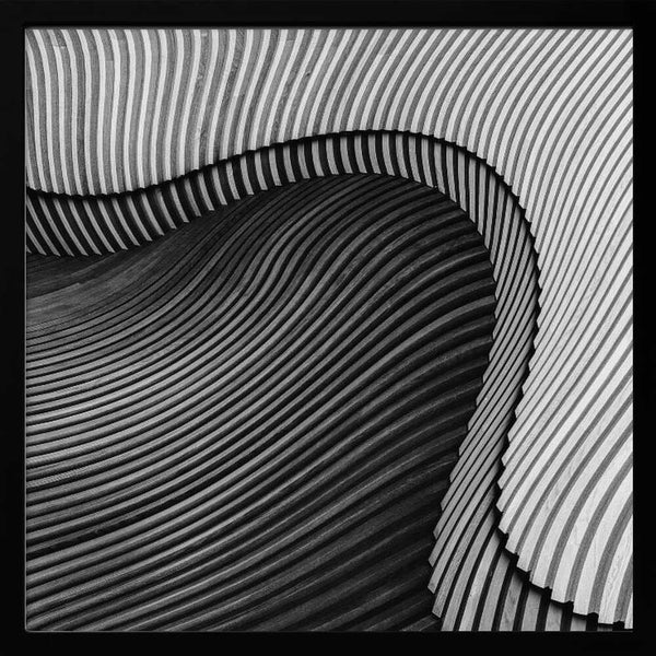 Tablou înramat „The wood project II - Sea shore” de Luc Vangindertael (laGrange)