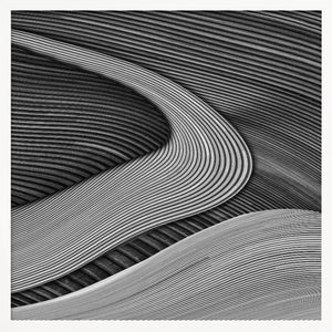 Tablou înramat „The wood project III - Zen garden” de Luc Vangindertael (laGrange)