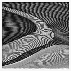 Tablou înramat „The wood project III - Zen garden” de Luc Vangindertael (laGrange)