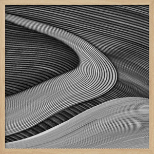 Tablou înramat „The wood project III - Zen garden” de Luc Vangindertael (laGrange)