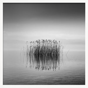 Tablou înramat „Black and White Silence” de George Digalakis