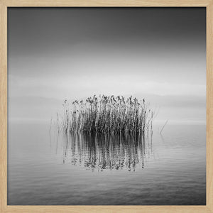 Tablou înramat „Black and White Silence” de George Digalakis