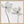 Tablou înramat „Same tulip : front- and backview” de Lotte Grønkjær