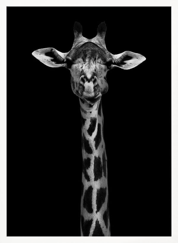 Tablou înramat „Giraffe Portrait” de WildPhotoArt