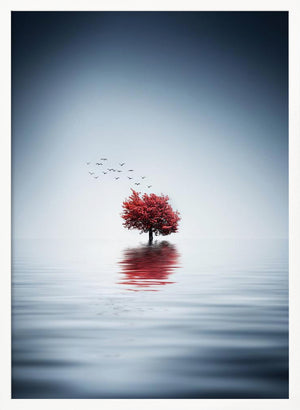 Tablou înramat „Autumn trees reflected blue lake” de Bess Hamiti
