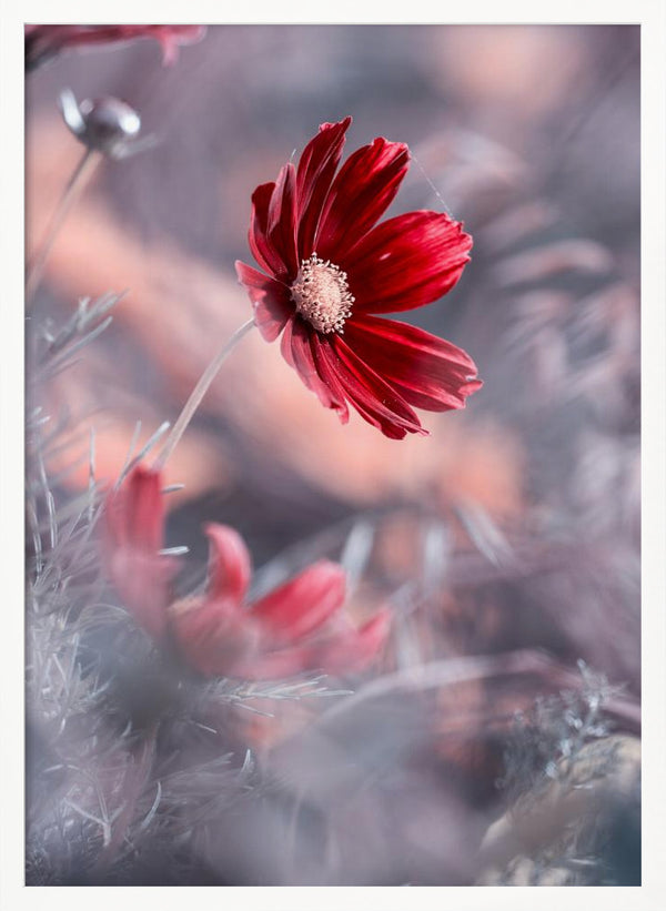 Tablou înramat „Carmen II” de Fabien BRAVIN
