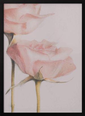 Tablou înramat „Two Roses” de Delphine Devos