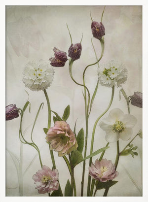 Tablou înramat „Spring Garden” de Sharon Williams