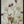 Tablou înramat „Spring Garden” de Sharon Williams