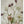 Tablou înramat „Spring Garden” de Sharon Williams