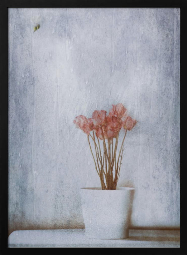 Tablou înramat „When Summer's Gone...” de Delphine Devos