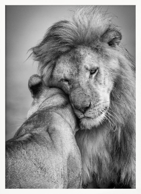 Tablou înramat „African Love!” de Ali Khataw