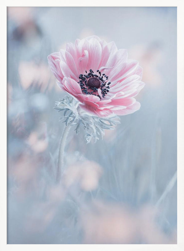 Tablou înramat „La reine de neiges” de Fabien BRAVIN