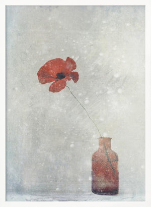 Tablou înramat „Winter Poppy” de Delphine Devos