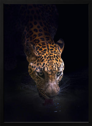 Tablou înramat „Drinking” de Antonyus Bunjamin (Abe)