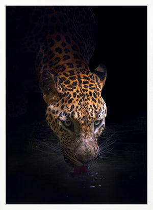 Tablou înramat „Drinking” de Antonyus Bunjamin (Abe)