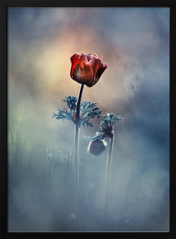 Tablou înramat „Where poetry and memories remain” de Fabien BRAVIN