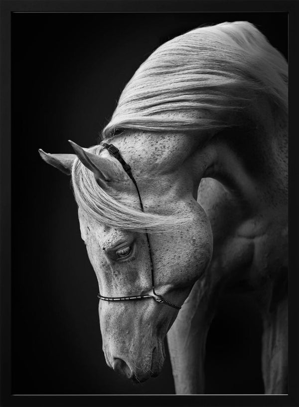 Tablou înramat „white stallion” de Ulrike Leinemann