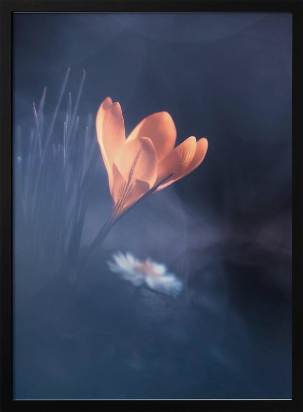 Tablou înramat „Upanishad” de Fabien BRAVIN