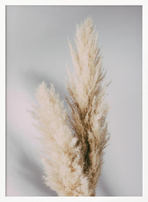 Tablou înramat „Pampas Grass Grey” de Pictufy Studio III